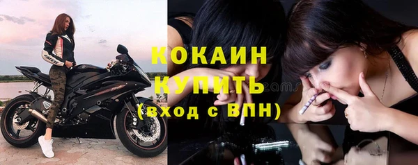 индика Баксан