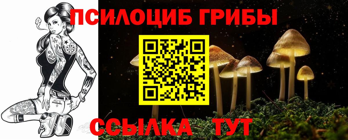 Галлюциногенные грибы Cubensis  Вход с VPN  Галлюциногенные грибы Cubensis  Коломна 